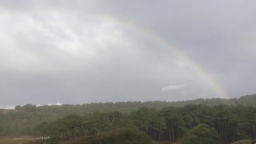Foto del negocio