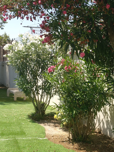 Foto del negocio