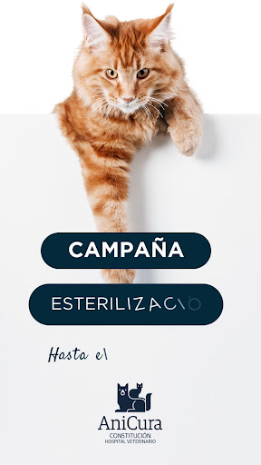 Foto del negocio