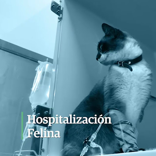 Foto del negocio