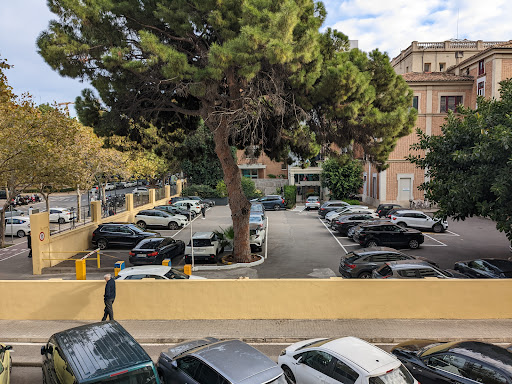 Foto del negocio