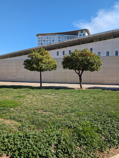 Foto del negocio